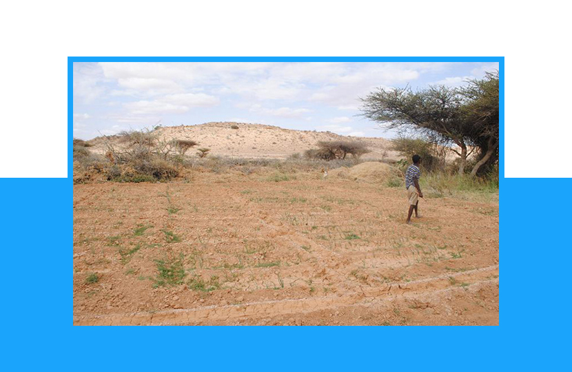 Somalia’s Drought Crisis Deepens as 4.6 Million People Affected, Funding Gaps Persist
