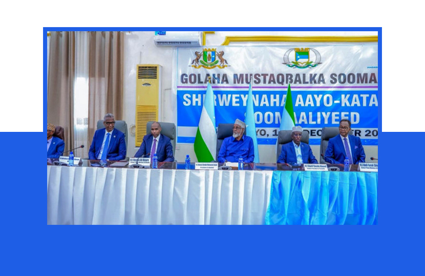 Somali Opposition Fails to Agree on Leadership Structure of “Somalia’s Future Council” in Kismayo Talks