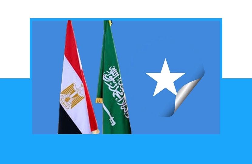 Somalia Moves to Deepen Red Sea Security Coordination with Saudi Arabia and Egypt amid Regional Tensions