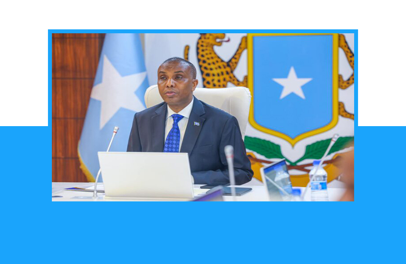 Somali Cabinet Cancels All Agreements with UAE, Citing Sovereignty Concerns